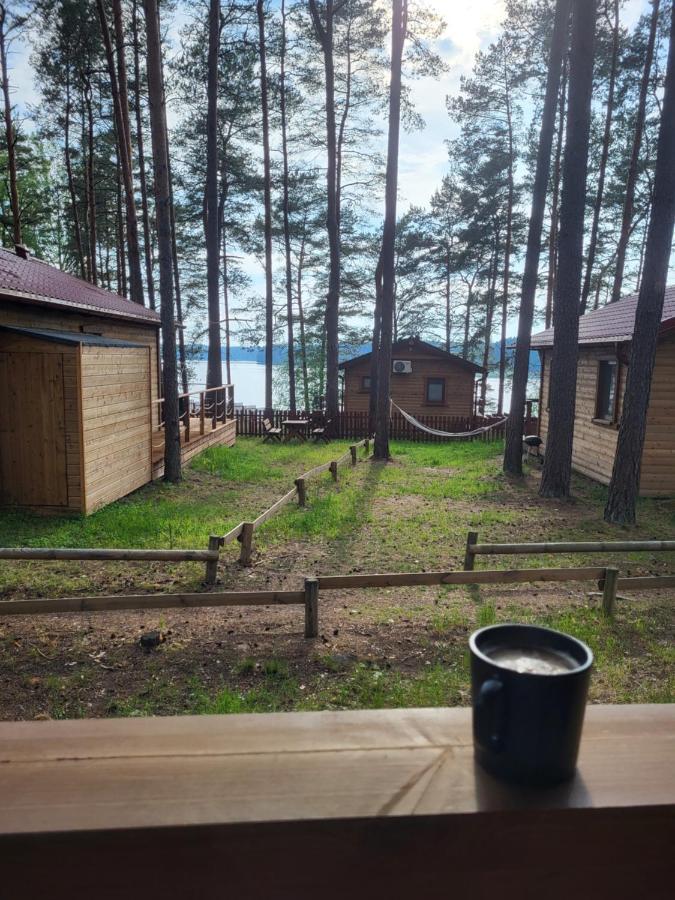 Dzik W Zagrodzie Hotel Borsk Eksteriør billede